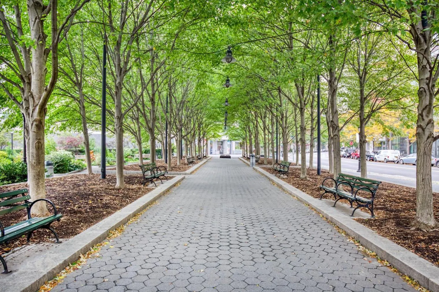 Fidi 1Br W Golf Simulator Nr Freedom Tower Nyc-1343 Διαμέρισμα Νέα Υόρκη